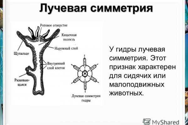 Восстановить аккаунт кракен